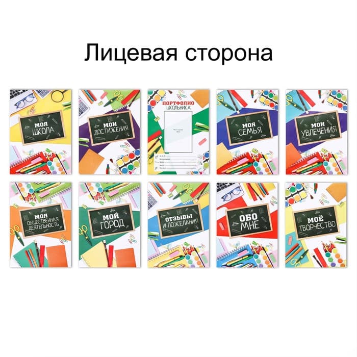 Папка школьная на кольцах «Портфолио школьника», 10 листов-разделителей, 24.5×32 см