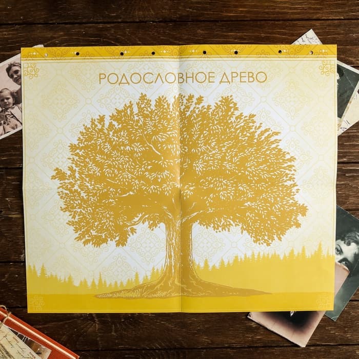 Родословная книга «Книга нашей семьи», 84 страницы, 24.5×23×4 см