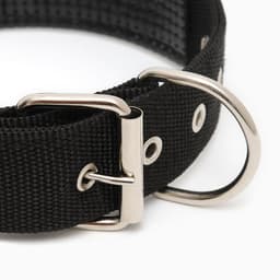 Ошейник «Комфорт», 60×4 см, ОШ 45-55 см, комбинированный, чёрный