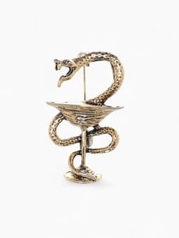 Брошь «Змея в геральдике», медицина, цвет чернёное золото