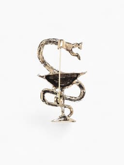 Брошь «Змея в геральдике», медицина, цвет чернёное золото