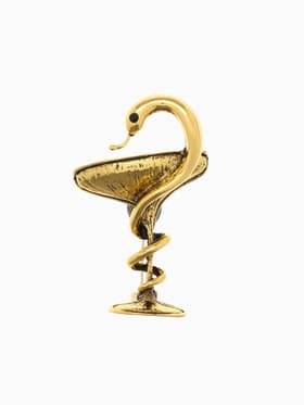 Брошь «Змея в геральдике», знак, 4.4 см, цвет чернёное золото