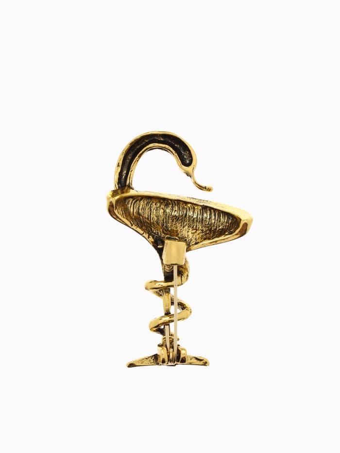 Брошь «Змея в геральдике», знак, 4.4 см, цвет чернёное золото