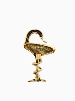 Брошь «Змея в геральдике», знак, 4.4 см, цвет чернёное золото