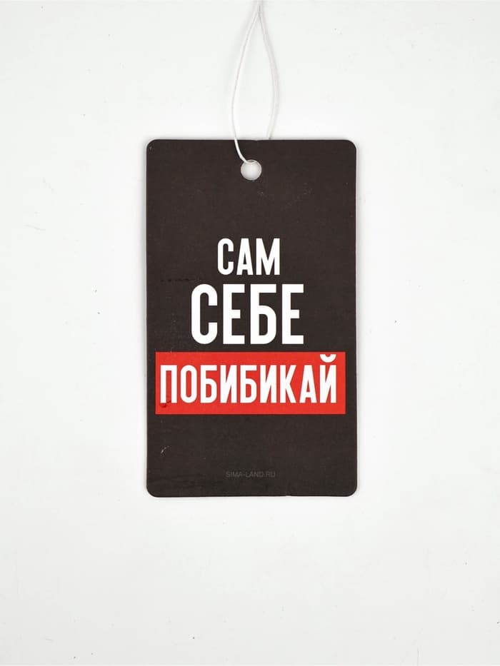 Ароматизатор в машину «Сам себе побибикай», аромат антитабак