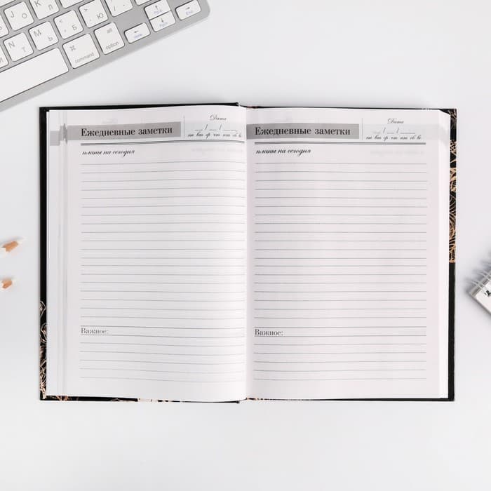 Ежедневник недатированный, А5, 160 л., твердая обложка «Золотой учитель»