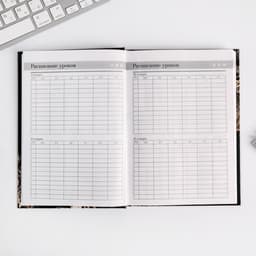 Ежедневник недатированный, А5, 160 л., твердая обложка «Золотой учитель»