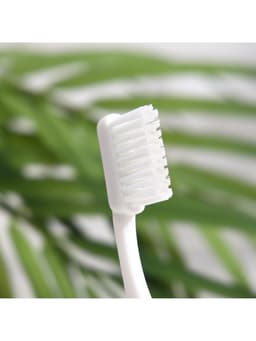 Набор дорожный: зубная паста Silcamed family, 30 г + зубная щётка Silcamed