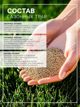 Газонная травосмесь «Красотень Гном», 0.5 кг