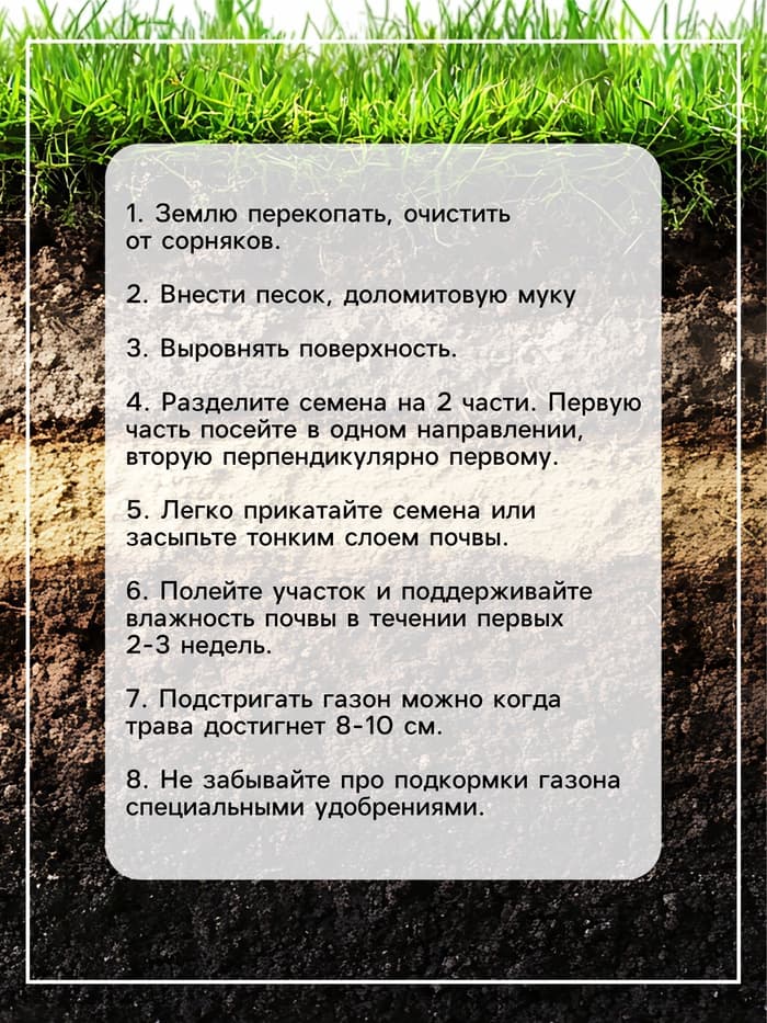 Газонная травосмесь «Красотень Гном», 0.5 кг