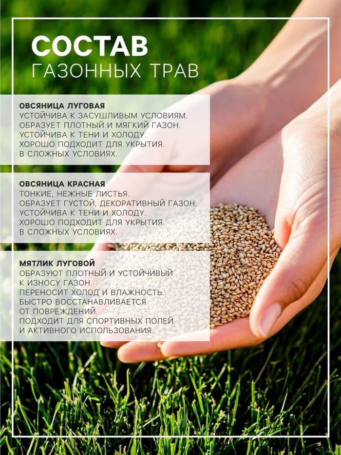 Газонная травосмесь «Красотень», «Гном» 1 кг