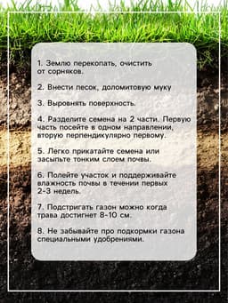 Газонная травосмесь «Красотень», «Гном» 1 кг