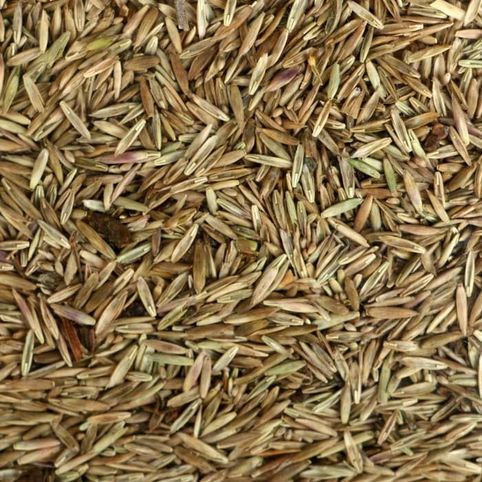 Газонная травосмесь «Красотень», «Гном» 1 кг