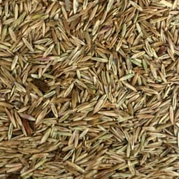 Газонная травосмесь «Красотень», «Гном» 1 кг