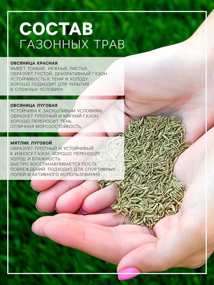 Газон «Гном» 5 кг