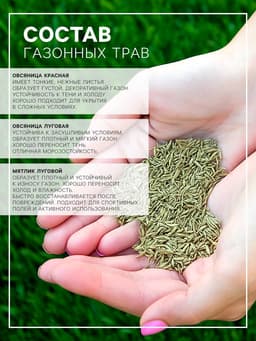 Газон «Гном» 5 кг