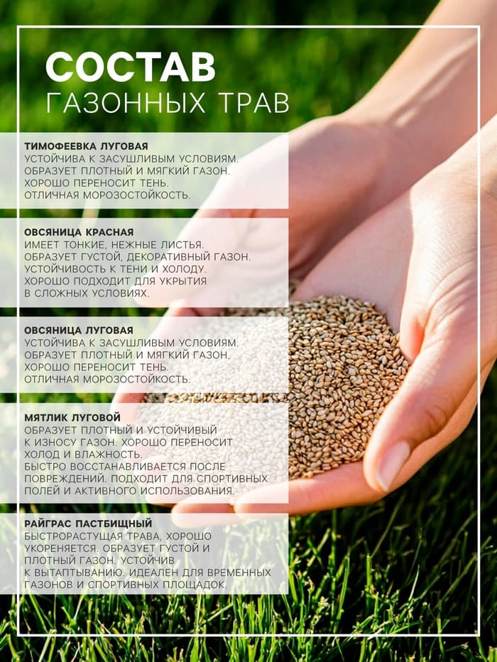 Газонная травосмесь «Спортивный» 1 кг