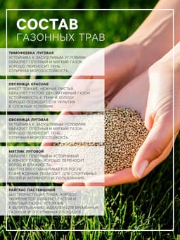 Газонная травосмесь «Спортивный» 1 кг