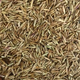 Газонная травосмесь «Спортивный» 1 кг