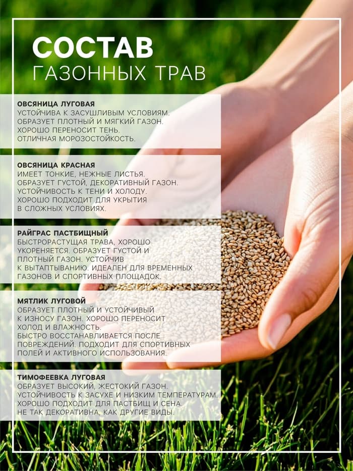 Газонная травосмесь «Детский» 1 кг