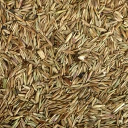 Газонная травосмесь «Детский» 1 кг