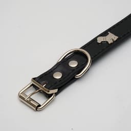 Ошейник «Собачки», 46×2 см, ОШ 31-40, искусственная кожа, чёрный