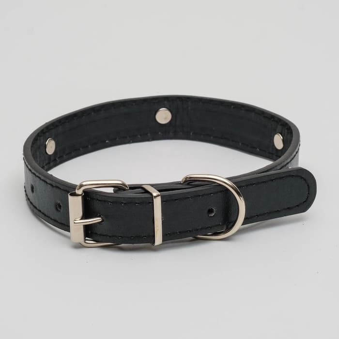 Ошейник «Собачки», 46×2 см, ОШ 31-40, искусственная кожа, чёрный