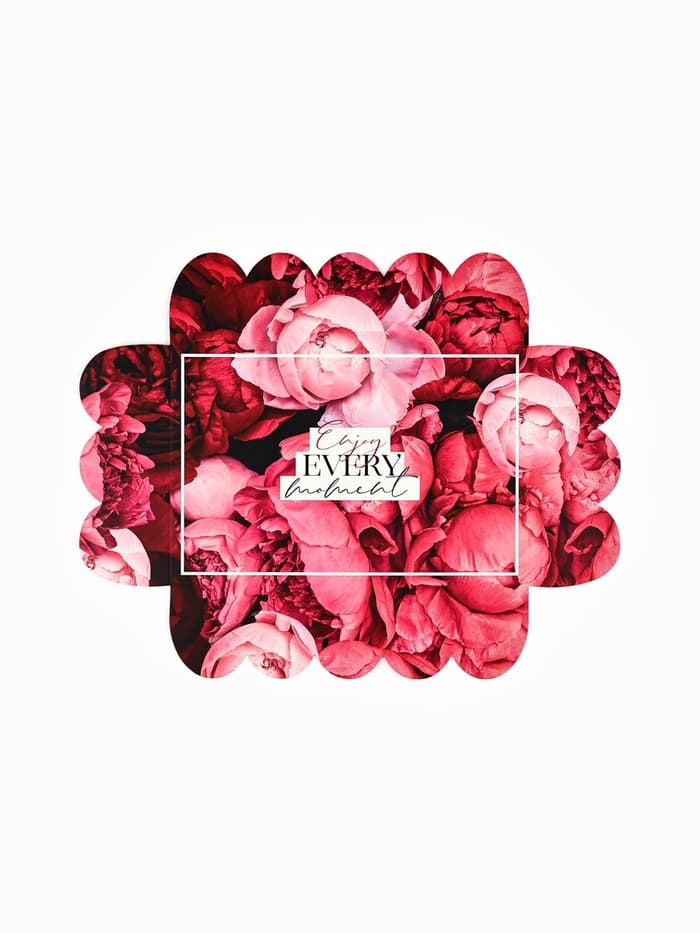 Коробка для печенья, кондитерская упаковка с пластиковой крышкой, Enjoy every moment, 20×30×8 см