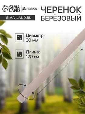Черенок берёзовый, d=30 мм, длина 120 см, высший сорт, Greengo