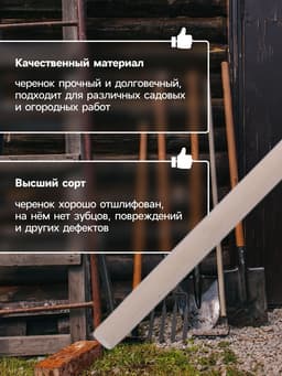 Черенок берёзовый, d=30 мм, длина 120 см, высший сорт, Greengo