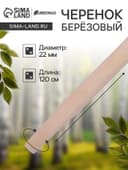 Черенок берёзовый, d=22 мм, длина 120 см, высший сорт, Greengo