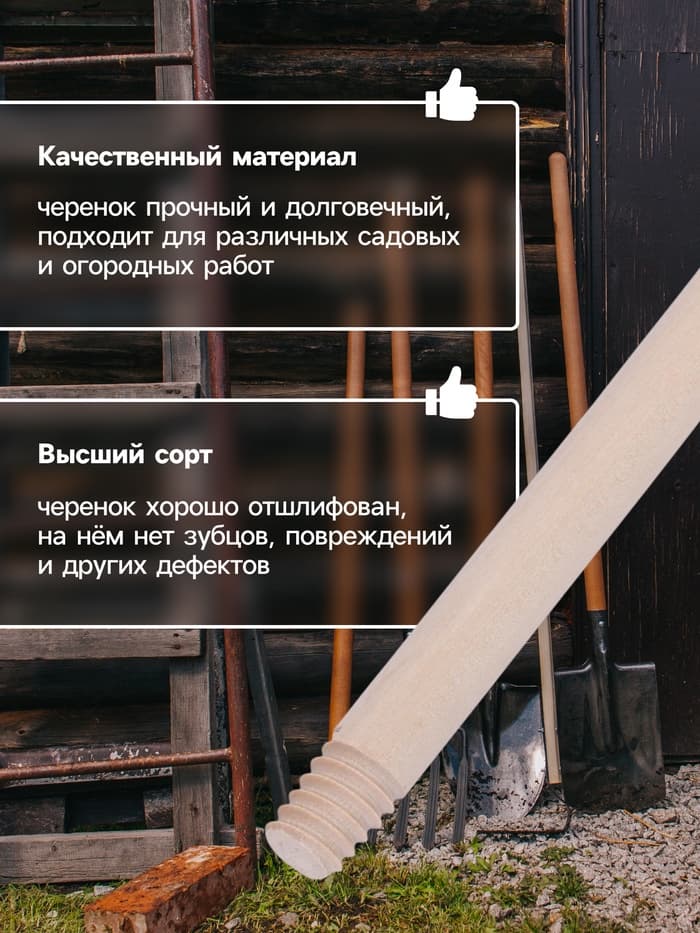 Черенок берёзовый, d=22 мм, длина 120 см, с еврорезьбой, высший сорт, Greengo