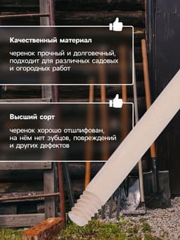 Черенок берёзовый, d=22 мм, длина 120 см, с еврорезьбой, высший сорт, Greengo