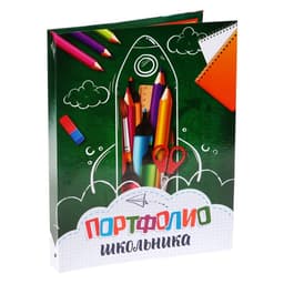 Папка школьная на кольцах «Портфолио школьника», 6 листов-разделителей, 24.5×32 см