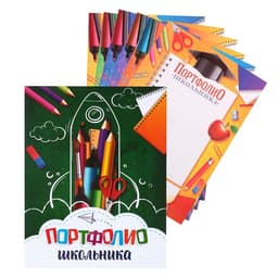 Папка школьная на кольцах «Портфолио школьника», 6 листов-разделителей, 24.5×32 см
