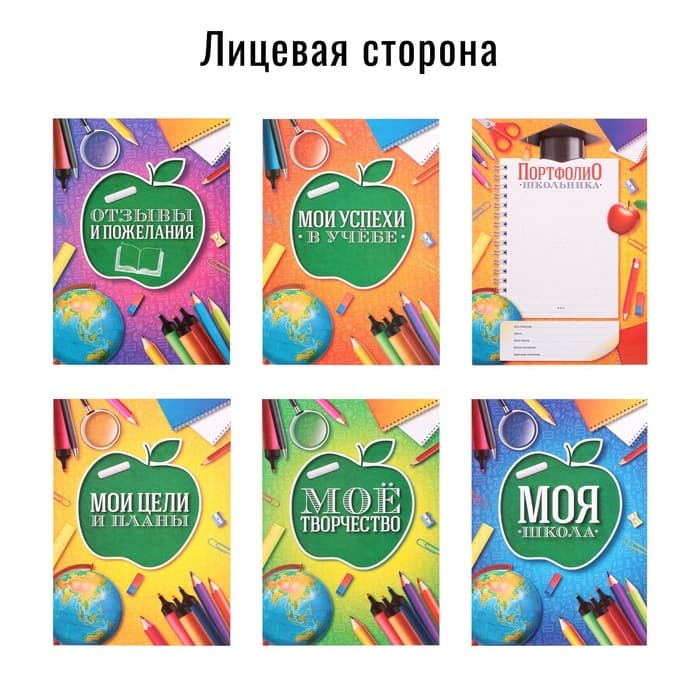 Папка школьная на кольцах «Портфолио школьника», 6 листов-разделителей, 24.5×32 см