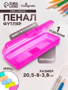 Пенал - футляр Calligrata «Школьный», 80×205×38 мм, полупрозрачный. пластиковый, МИКС