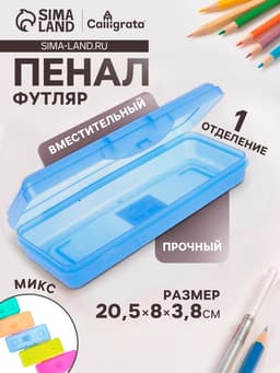 Пенал - футляр Calligrata «Школьный», 80×205×38 мм, полупрозрачный. пластиковый, МИКС