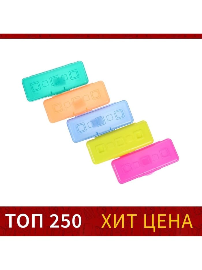 Пенал - футляр Calligrata «Школьный», 80×205×38 мм, полупрозрачный. пластиковый, МИКС