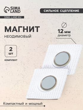 Магнит неодимовый для авто, d=12 мм, набор 2 шт.
