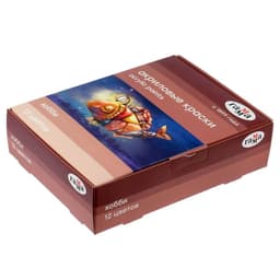 Краска акриловая, набор 12 цветов × 20 мл, Гамма «Хобби», морозостойкая, глянцевая