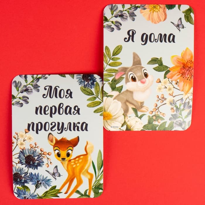 Карточки для фотосессии, 18 штук, Дисней