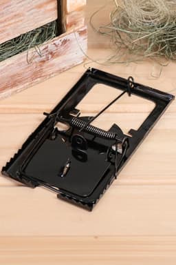 Крысоловка, 8.5×15 см, металлическая