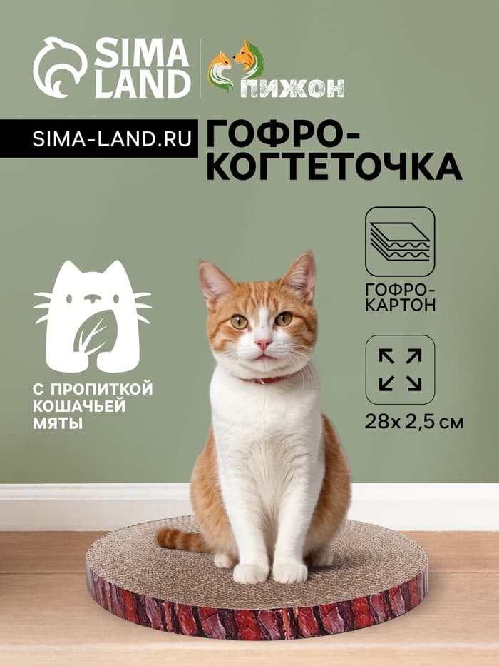 Гофрокогтеточка «Пижон. Спил сосны», 28×2.5 см, с пропиткой, круглая