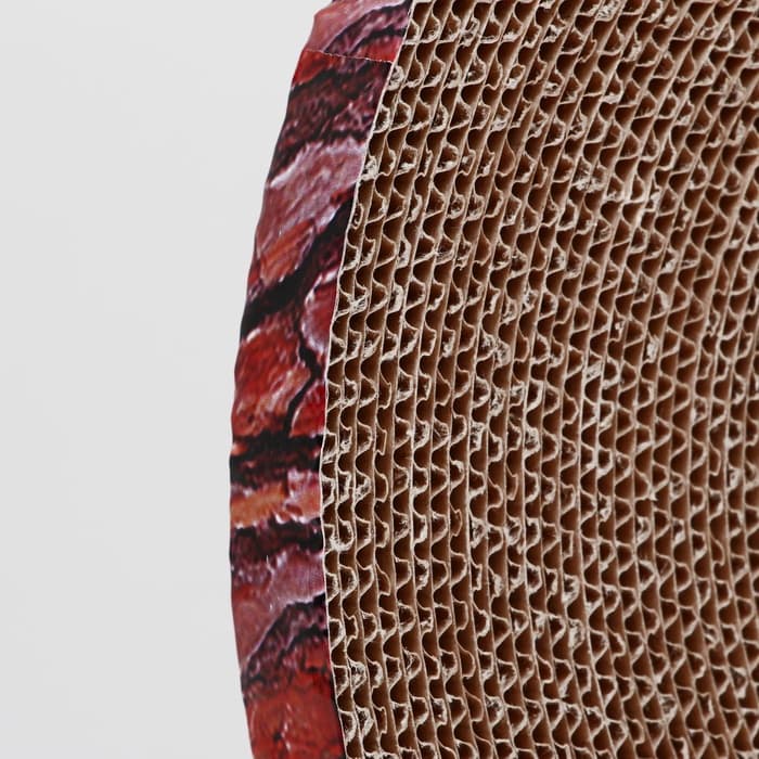 Гофрокогтеточка «Пижон. Спил сосны», 28×2.5 см, с пропиткой, круглая