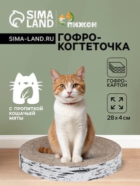 Гофрокогтеточка «Пижон. Спил березы», 28×4 см, с пропиткой, высокая, круглая