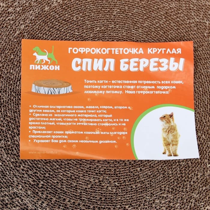 Гофрокогтеточка «Пижон. Спил березы», 28×4 см, с пропиткой, высокая, круглая