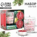 Подарочный набор новогодних свечей «Счастья», 11×5.6×9.8 см