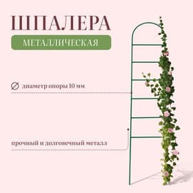 Шпалера, 140×30×1 см, металл, зелёная, «Лестница»