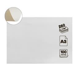 Картон хром-эрзац А3 (30×42 см), 100 листов, 260 г/м², «Ладога» немелованный, 0.35 мм